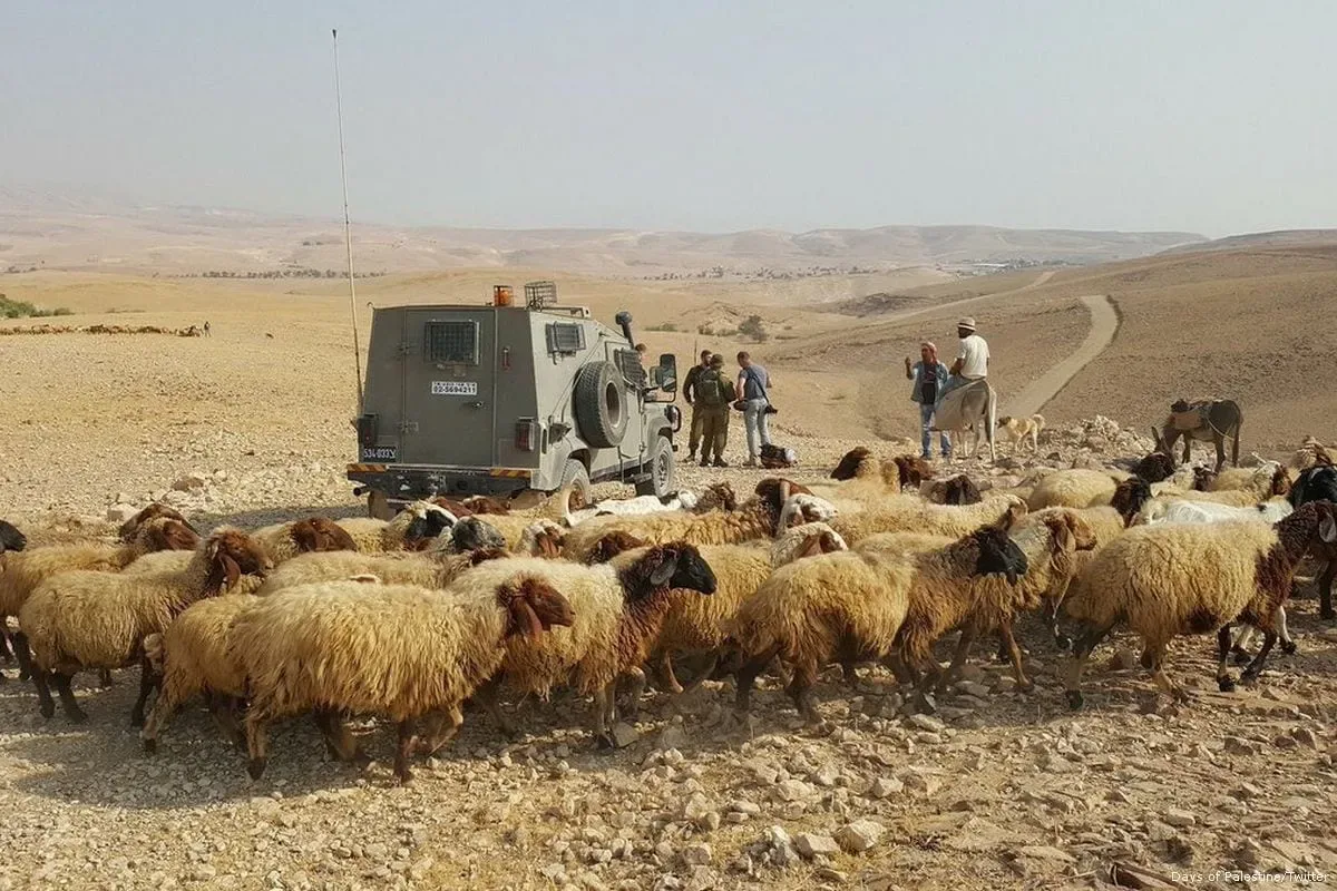 مركز "سجل": العدو الإسرائيلي يحتجز راعي أغنام في القنيطرة جنوب سوريا