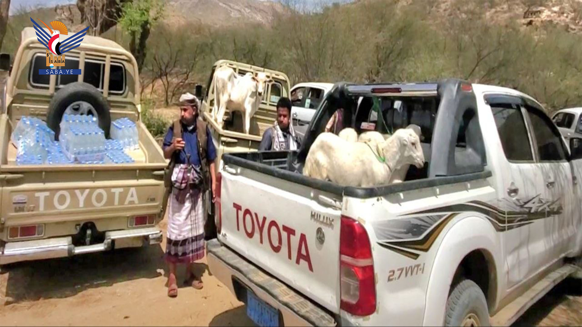 حجة.. قافلة من أبناء بني الحارث بأفلح الشام للمرابطين في الجبهات