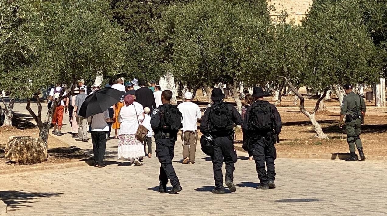 قطعان المستوطنين يقتحمون باحات المسجد الأقصى المبارك 