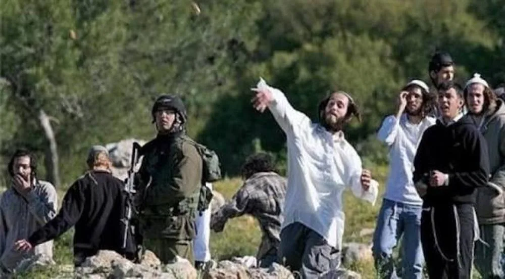 مستوطنون يواصلون اعتداءاتهم على الفلسطينيين وممتلكاتهم في الضفة والقدس