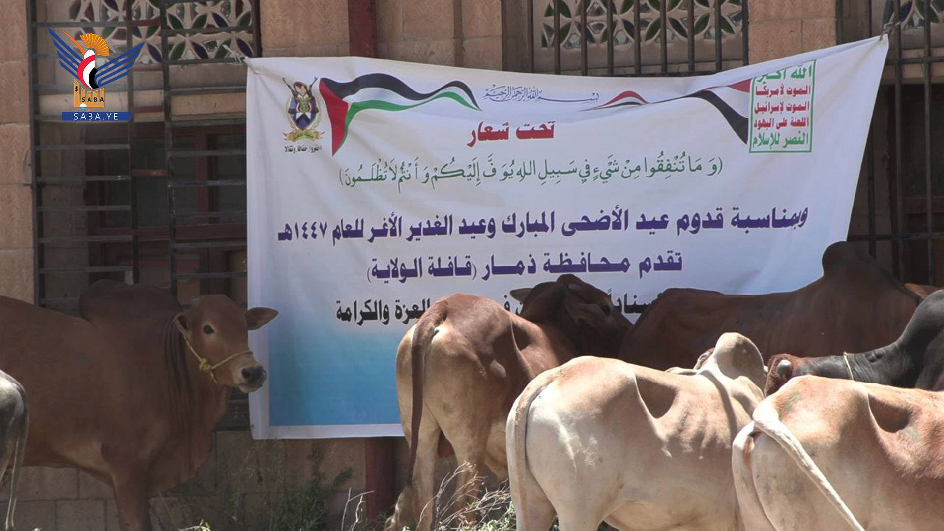 ذمار.. تسيير قافلة عيدية دعما للمرابطين في الجبهات