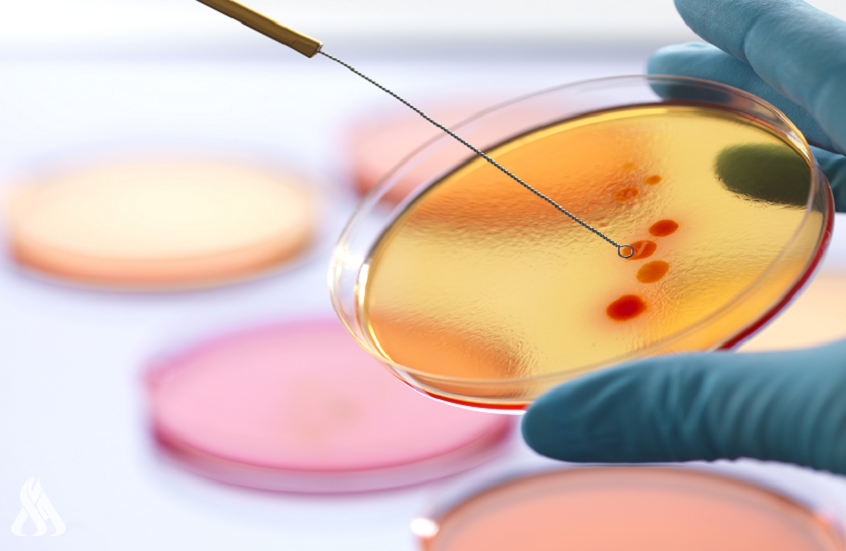 علماء كنديون ينجحون في اكتشاف مضادات لمواجهة البكتيريا المقاومة للأدوية  علماء كنديون ينجحون في اكتشاف مضادات لمواجهة البكتيريا المقاومة للأدوية