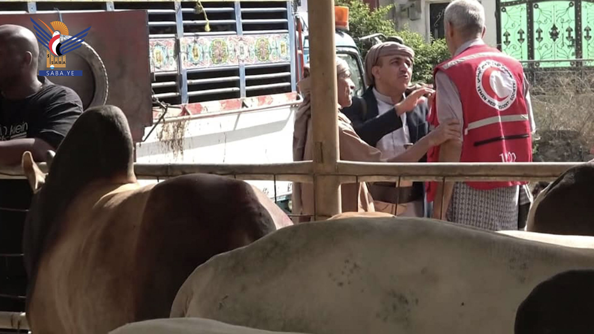 تدشين توزيع لحوم الأضاحي لأسر الشهداء والأسر الأشد فقرا في مدينتي البيضاء ورداع