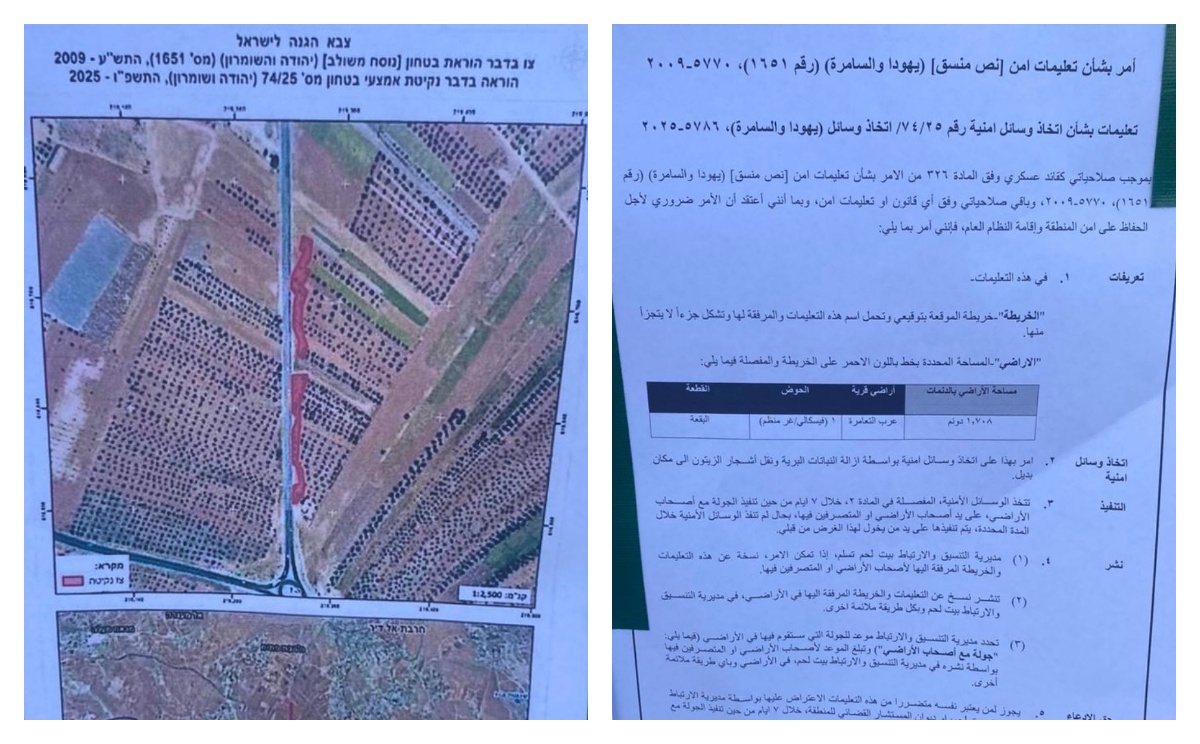 العدو الصهيوني يخطر بإزالة مئات أشجار الزيتون في تقوع جنوب شرق بيت لحم