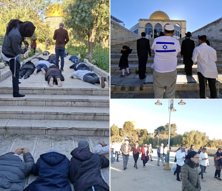 عشرات المستوطنين يقتحمون المسجد الأقصى ويؤدون طقوسا تلمودية