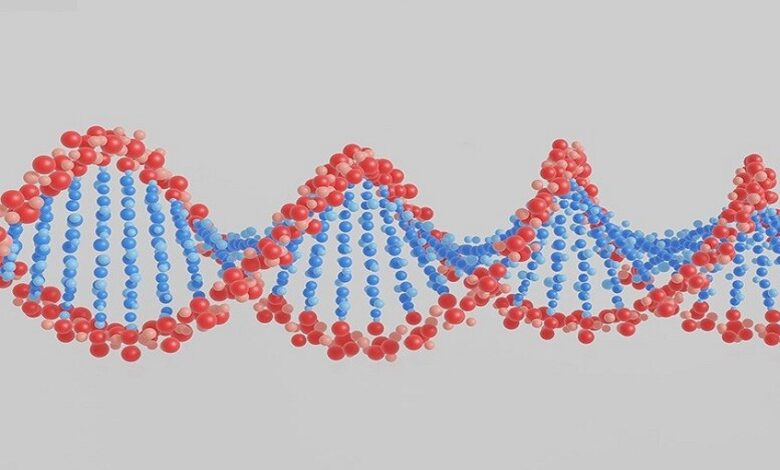 اكتشاف بروتينات قد تسهم في علاج السرطان وإبطاء الشيخوخة اكتشاف بروتينات قد تسهم في علاج السرطان وإبطاء الشيخوخة