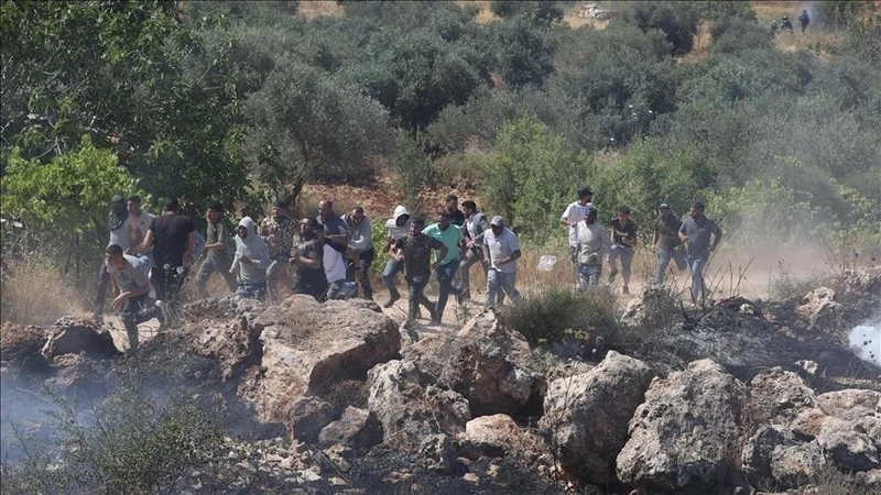 "معطى": 5834 اعتداء للمستوطنين الصهاينة في الضفة الغربية منذ أكتوبر 2025