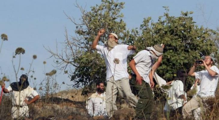 إصابات إحداها خطيرة بهجوم للمستوطنين شرق طولكرم