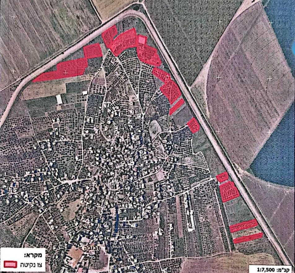 العدو الإسرائيلي يصدر قرارًا بإزالة مساحات شجرية على مساحة 59 دونما في جنين