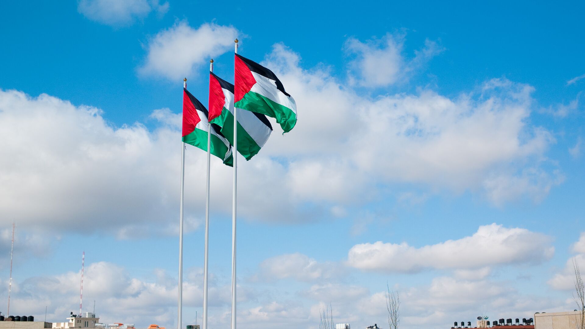 بلجيكا تعتزم الاعتراف بدولة فلسطين.. وتفرض عقوبات على "إسرائيل"