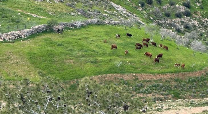 اعتداءات للمستوطنين في الضفة الغربية