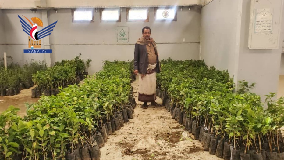 إب..تدشين توزيع شتلات على المزارعين في مديرية السدة