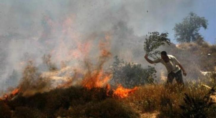 مستوطنون يحرقون أراضٍ قرب مسجد شرق رام الله وآخرون يسرقون خطوط مياه بالأغوار الشمالية