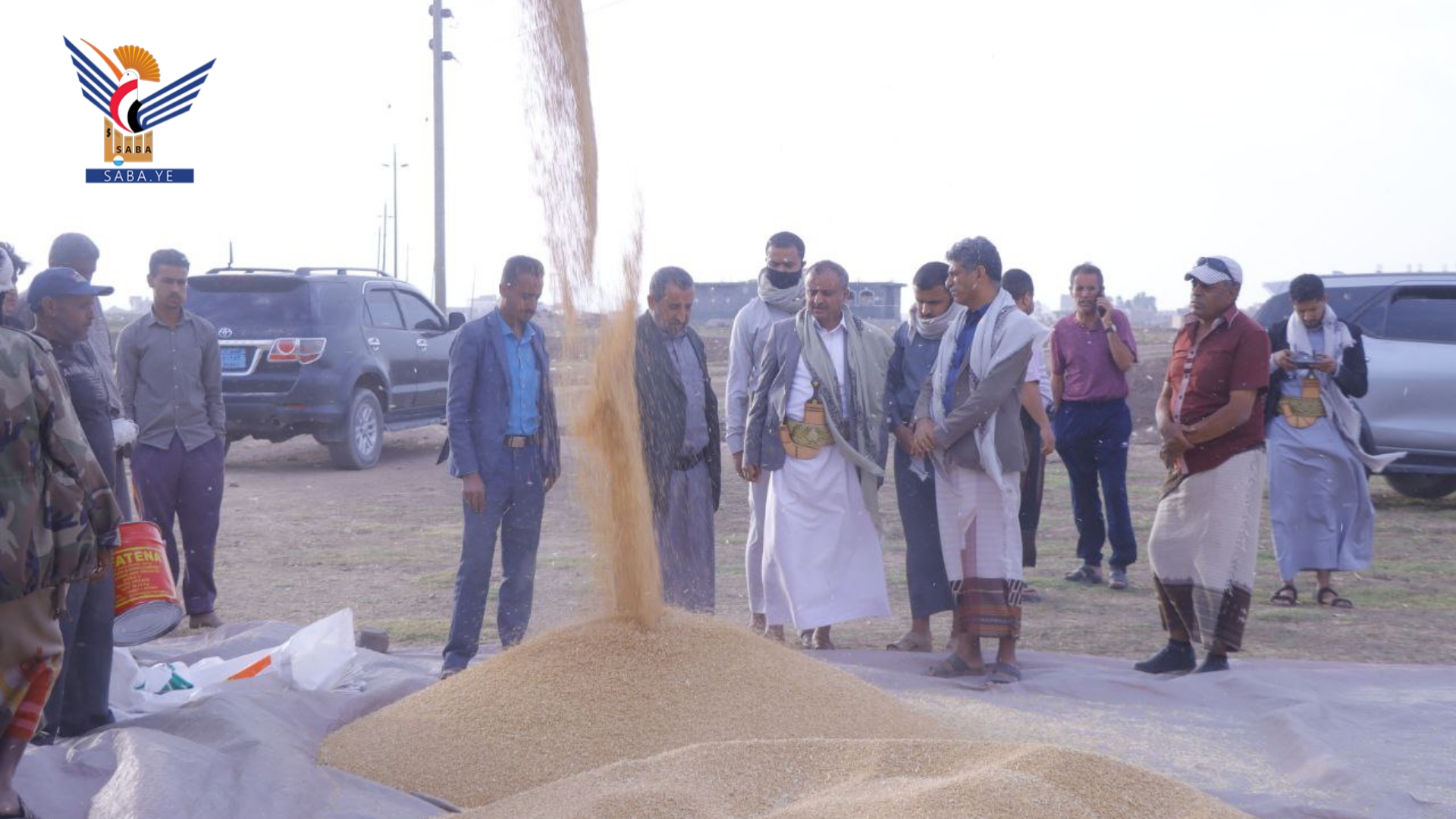 الرباعي يدشّن موسم حصاد بذور القمح الشتوي بذمار