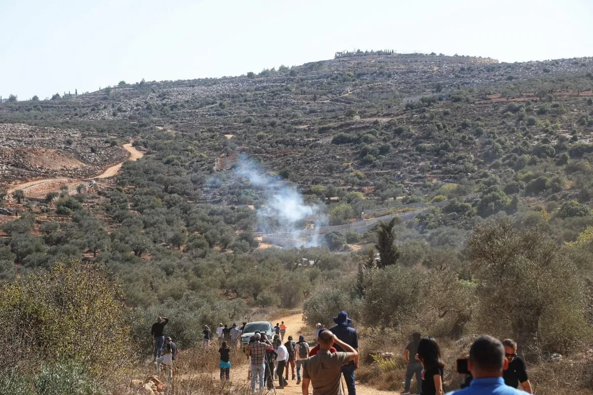 الجدار والاستيطان الفلسطينية : 409 اعتداءات للعدو الإسرائيلي  والمستوطنون على موسم الزيتون خلال ثلاثة أسابيع