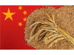 415 مليون طن إجمالي مشتريات الصين من الحبوب الغذائية في 2025   
