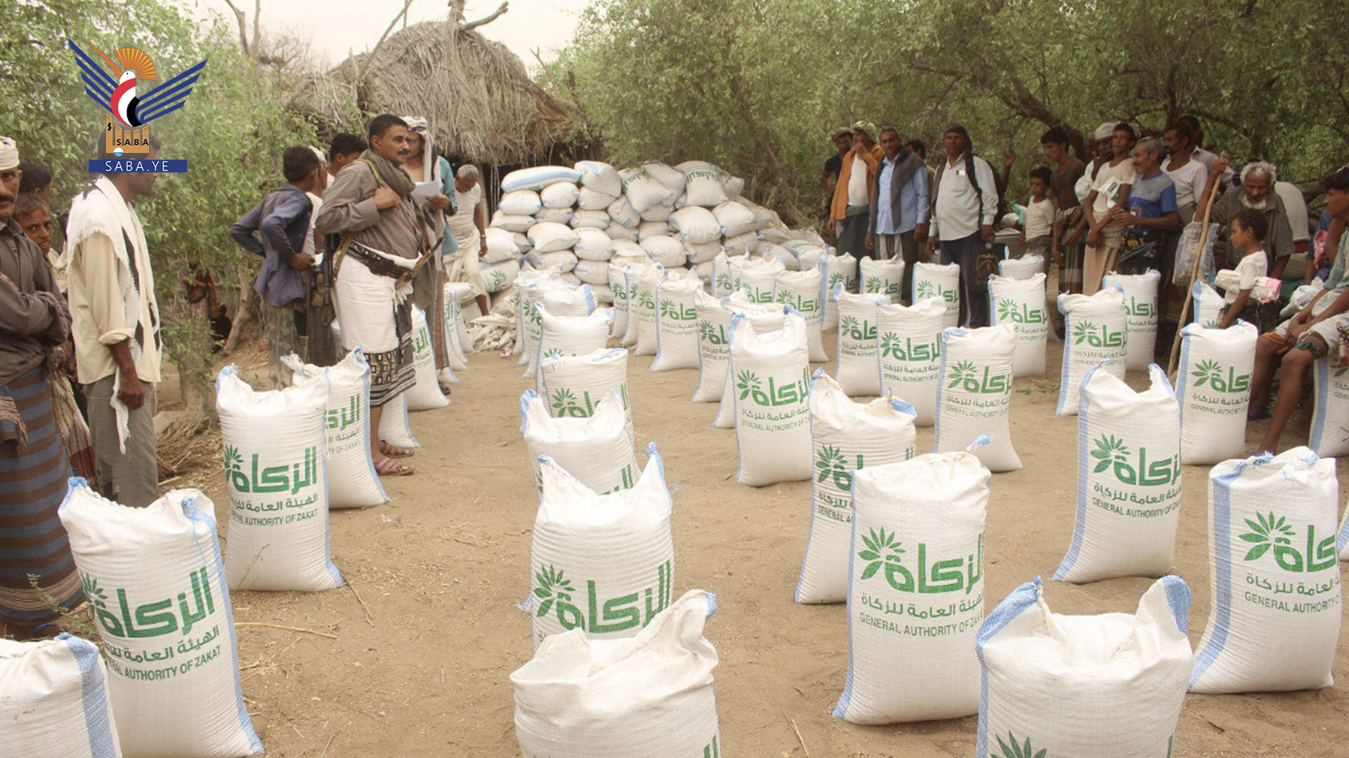 توزيع زكاة الحبوب العينية على الفقراء والمساكين بالدريهمي بالحديدة