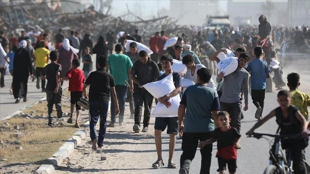 الأمم المتحدة: استشهاد 294 فلسطينيًا خلال محاولة الحصول على مساعدات بغزة منذ نهاية يونيو
