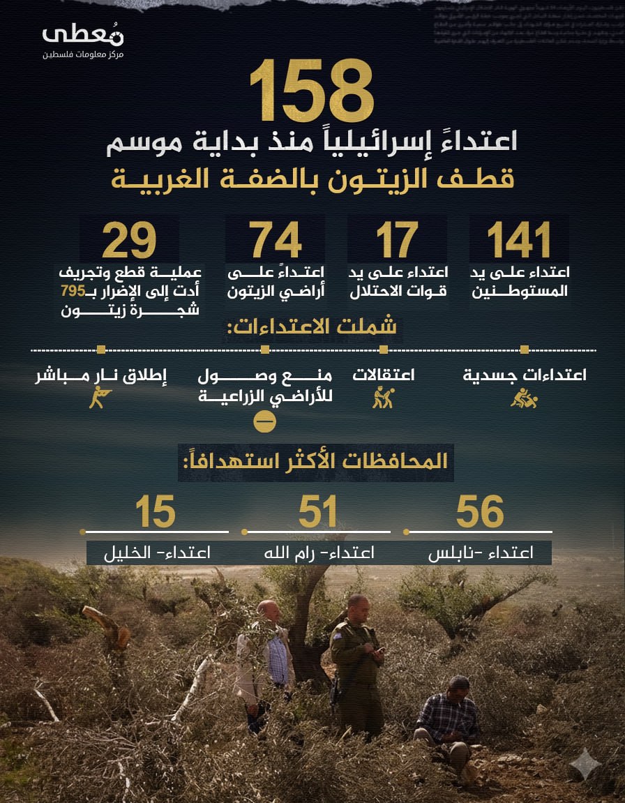 158 اعتداءً "إسرائيلياً" منذ بداية موسم قطف الزيتون في الضفة الغربية