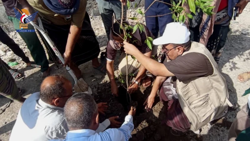 حملة تشجير وتوعية صحية بمديرية الميناء في الحديدة