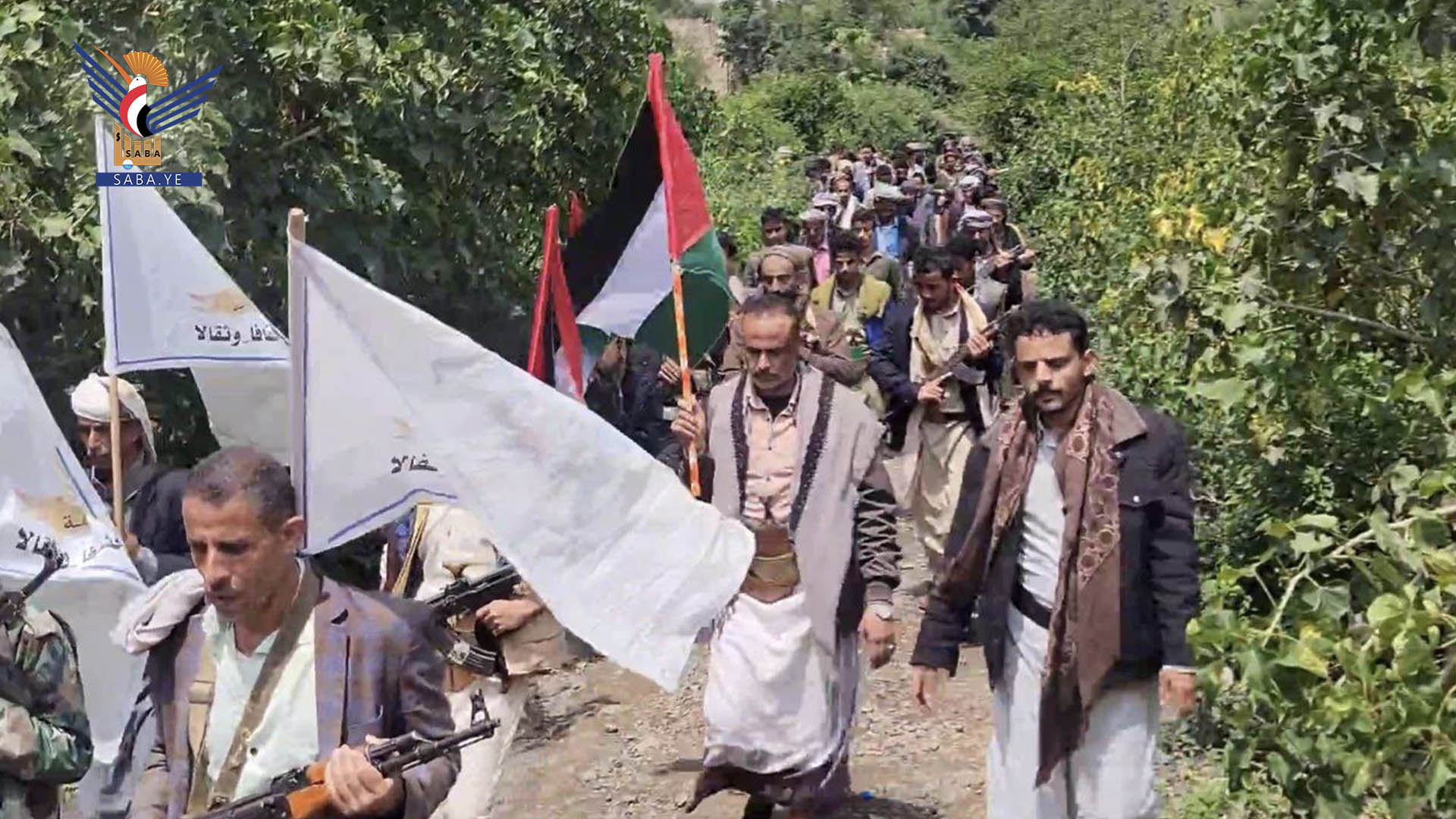 إب .. عرض لخريجي دورات التعبئة في عزلة حليان بمديرية مذيخرة إب .. عرض لخريجي دورات التعبئة في عزلة حليان بمديرية مذيخرة