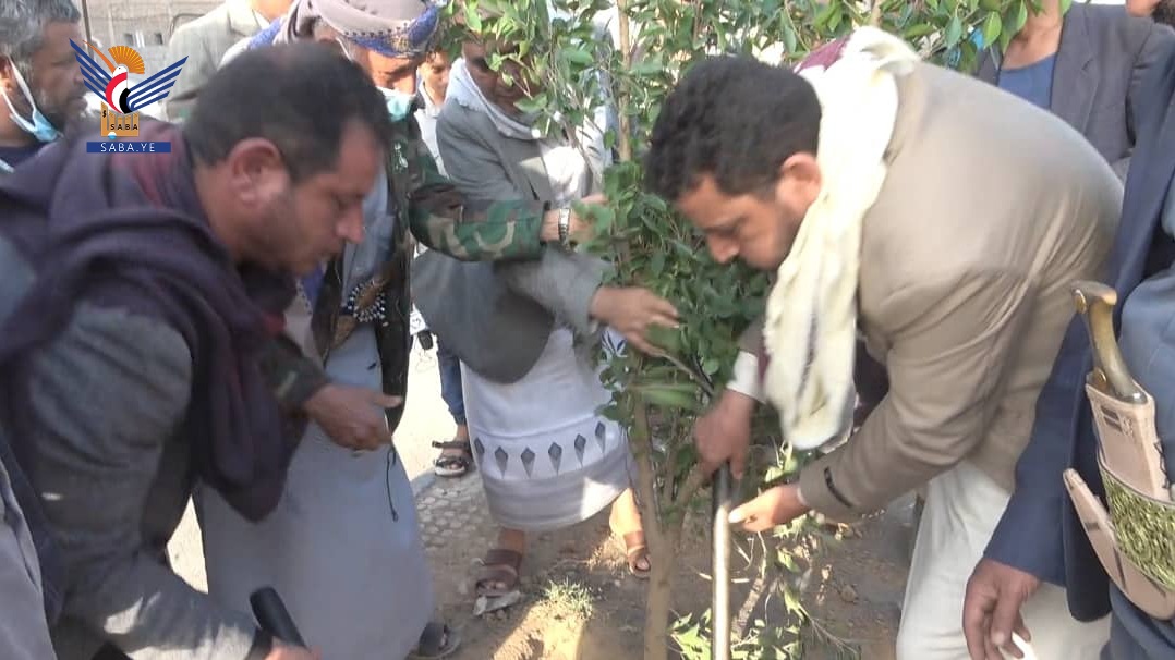 تدشين زراعة الأشجار المثمرة بالشارع الرئيسي بمدينة رداع في البيضاء