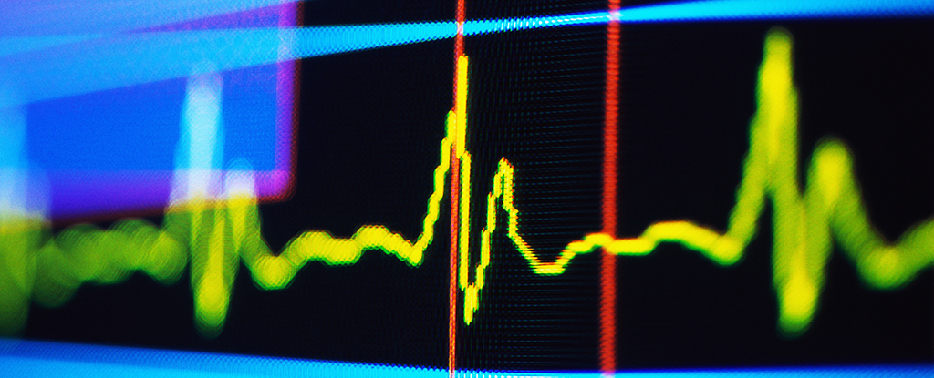 دراسة: نمط خفي في نبضك قد يشير إلى تدهور معرفي مستقبلي دراسة: نمط خفي في نبضك قد يشير إلى تدهور معرفي مستقبلي