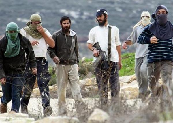 مستوطنون صهاينة يدمرون محمية طبيعية في بيت لحم ويحرقون أراضٍ في نابلس