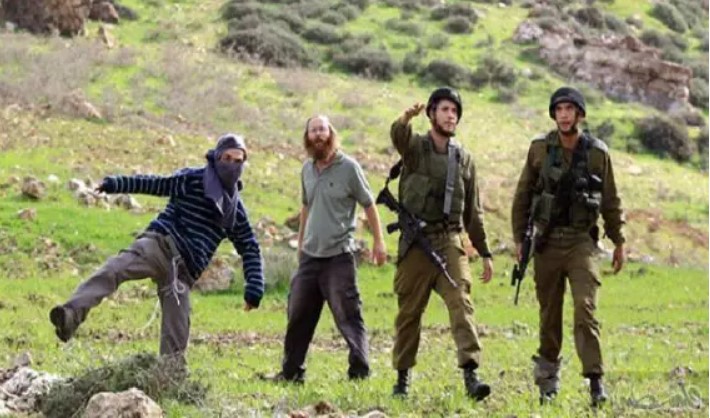 مستوطنون يقتحمون تجمع شكارة بنابلس ويهاجمون مركبات الفلسطينيين في بلعين