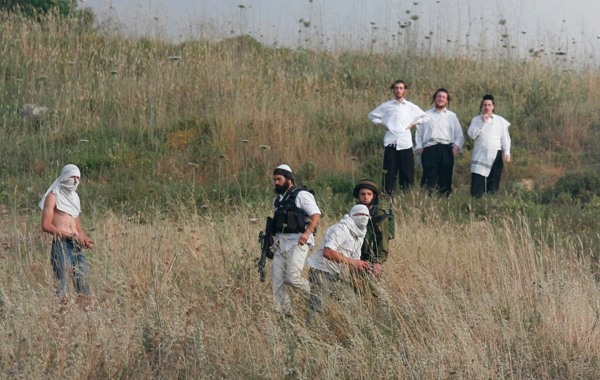 مستوطنون يعتدون على مواطن فلسطيني ويسرقون أغنامه في كفر مالك ويهاجمون الطيبة