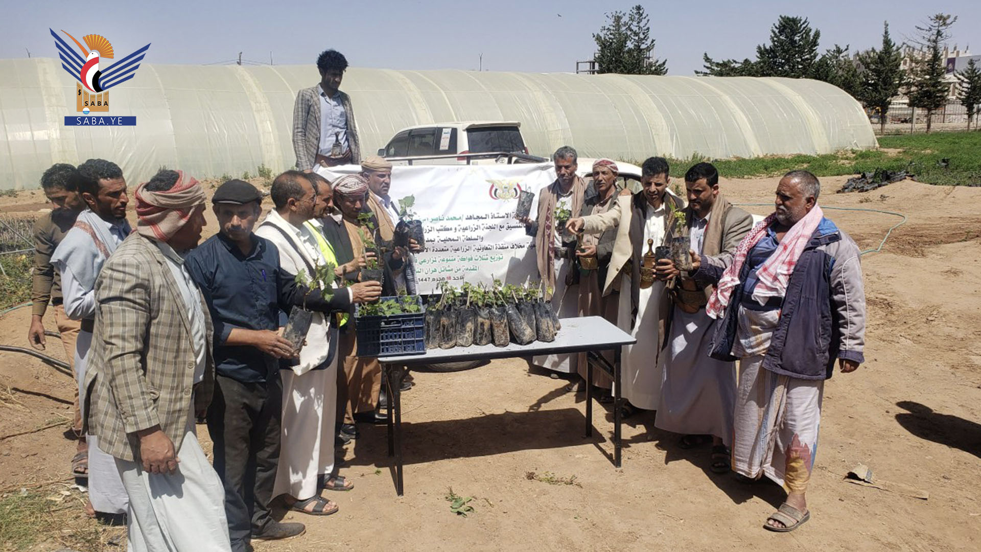  توزيع ثلاثة آلاف شتلة فاكهة على المزارعين في ذمار