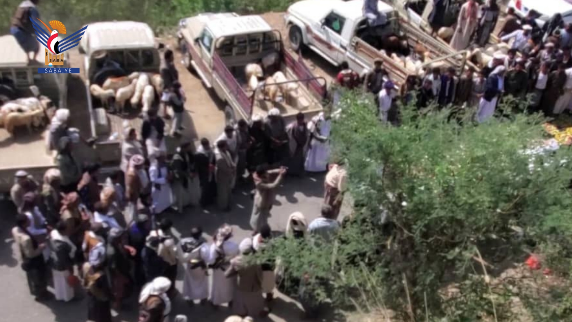 قافلة عيدية من أبناء الظاهر في صعدة للمرابطين في جيزان