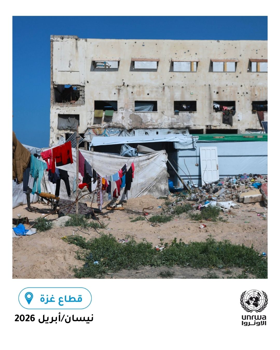 "أونروا":المنازل في قطاع غزة مدمرة بحاجة إلى إصلاحات لتصبح صالحة للاستخدام 