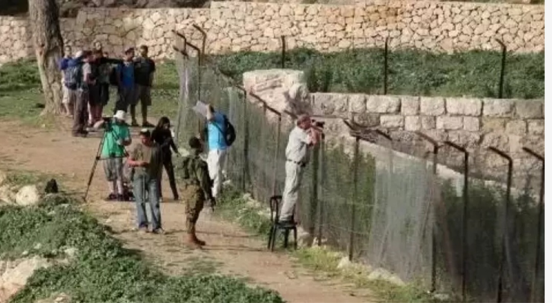 مستوطنون صهاينة يقتحمون برك سليمان جنوب بيت لحم