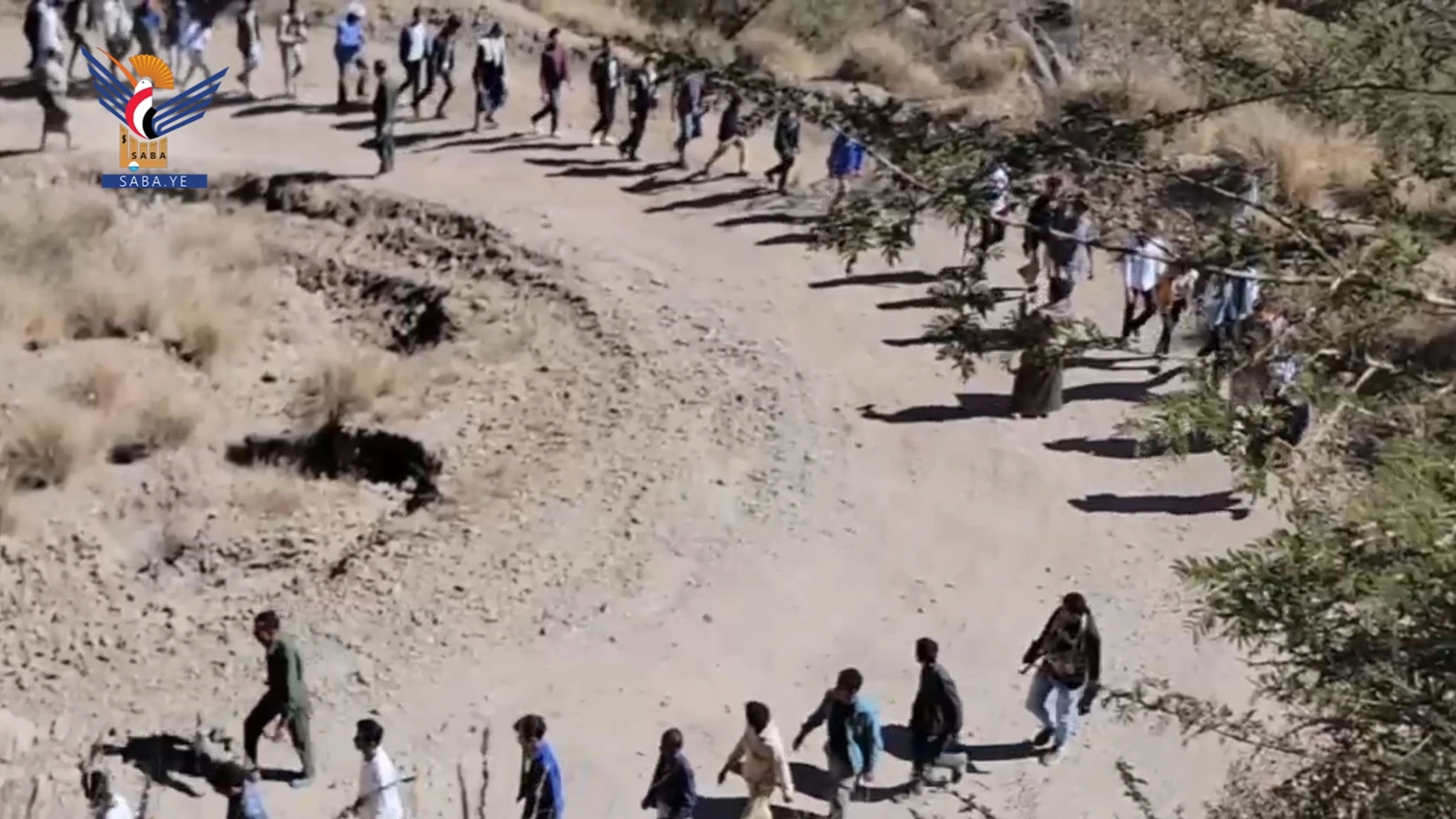 إب.. مسير ومناورة في عزلة بني وائل بمديرية حزم العدين