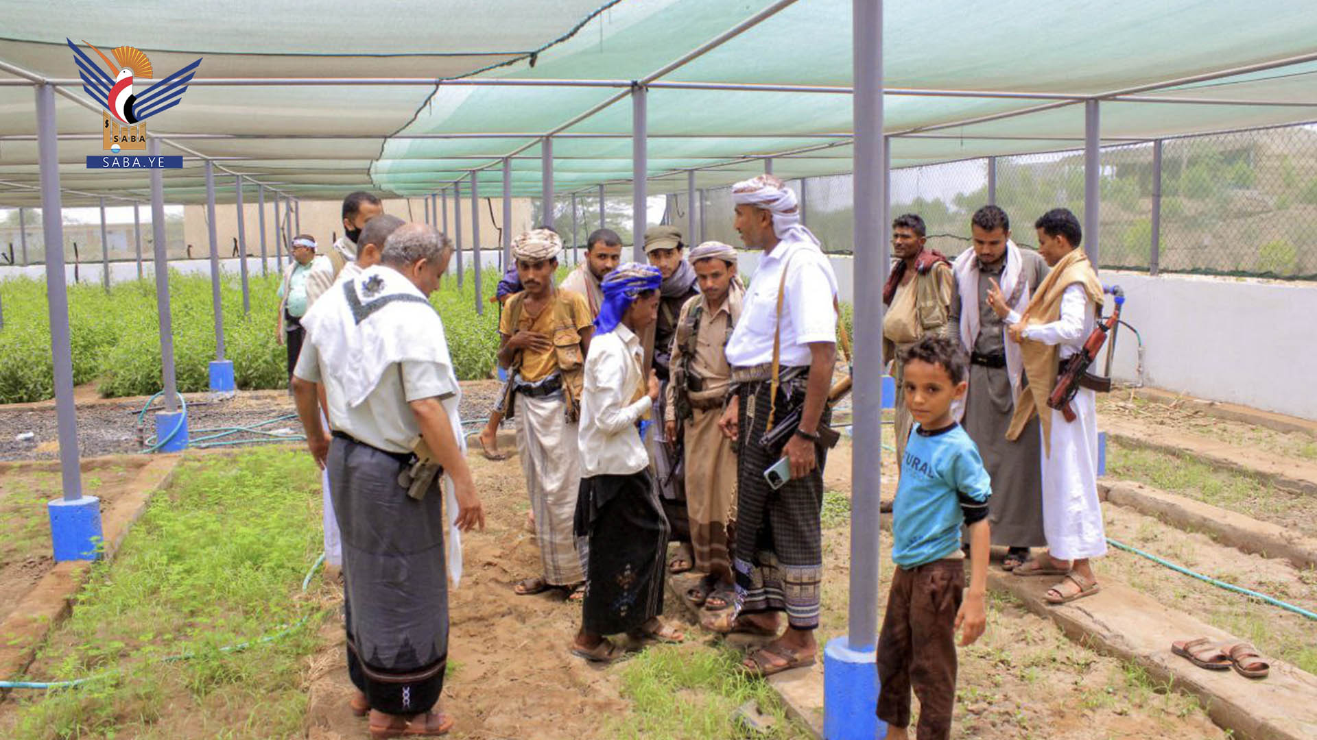 وزير الزراعة ومحافظ الحديدة يطلّعان على إنتاجية مشتل جميشة في كيلو 16