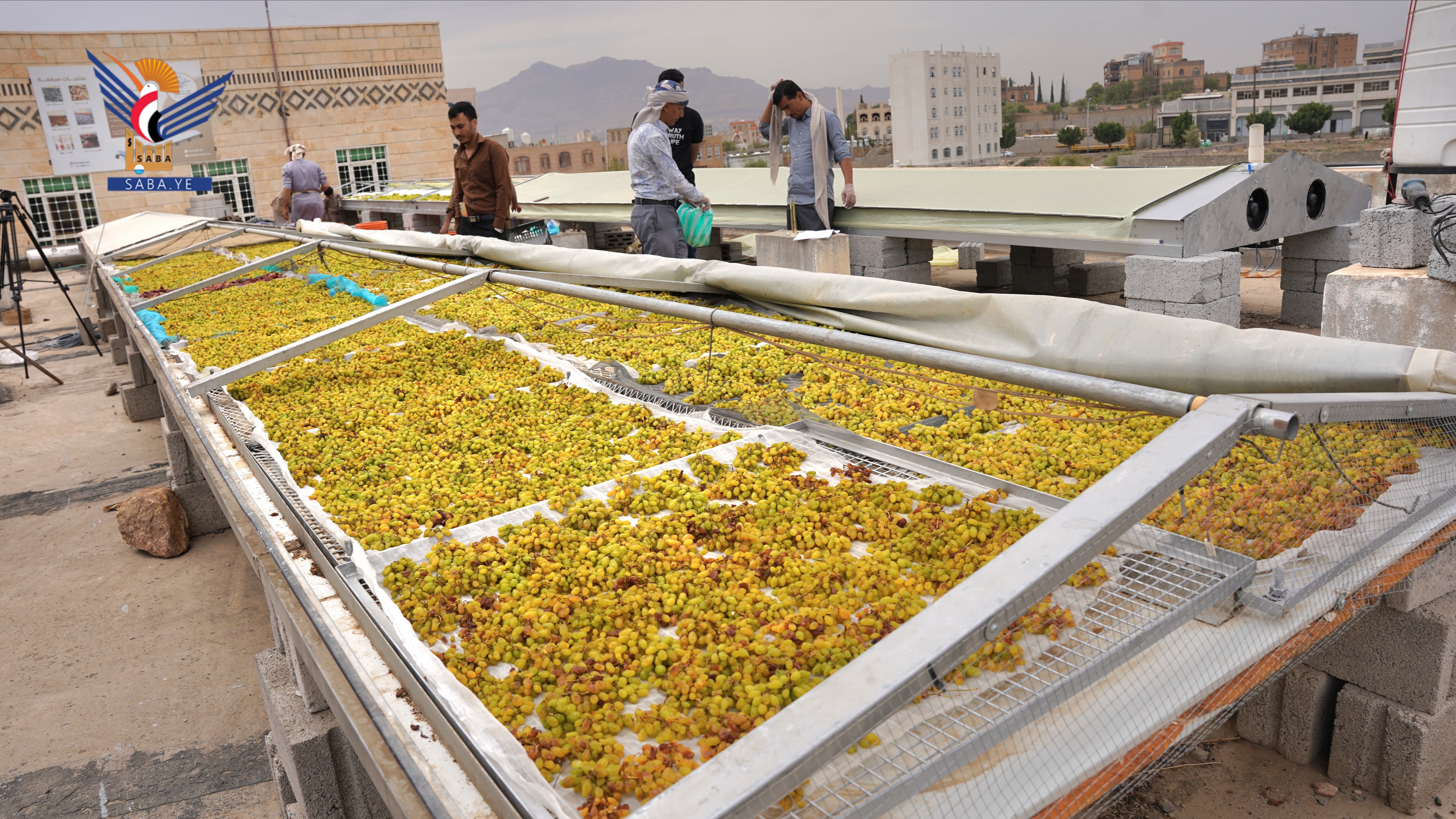 هيئة العلوم والبحوث تنجح في تصنيع وتطوير مجففات شمسية لمواجهة الفاقد الزراعي  هيئة العلوم والبحوث تنجح في تصنيع وتطوير مجففات شمسية لمواجهة الفاقد الزراعي