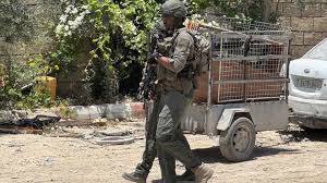 قوات صهيونية تعتدي على فلسطينيين ومتضامنين أجانب شمال طوباس