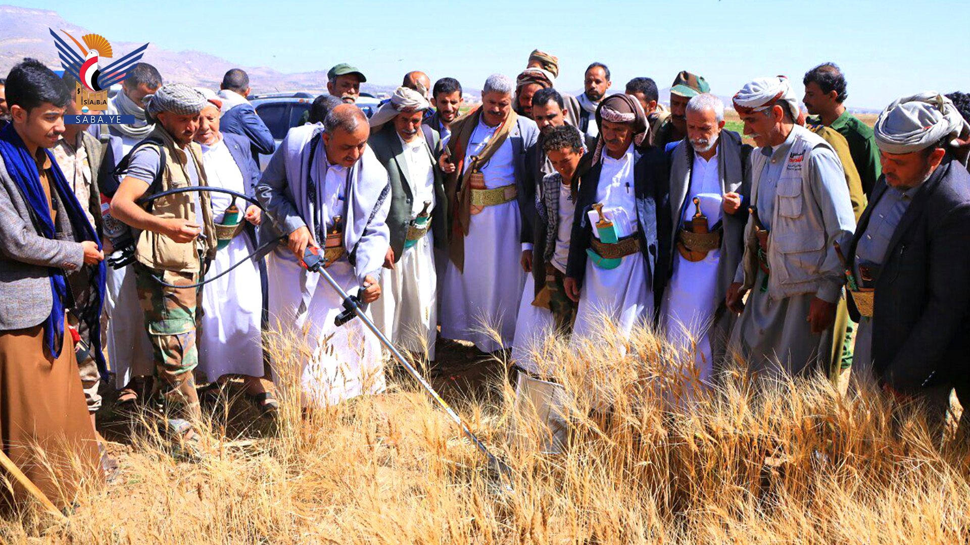 الرباعي والهادي يدّشنان موسم حصاد القمح الشتوي بمديرية بني مطر