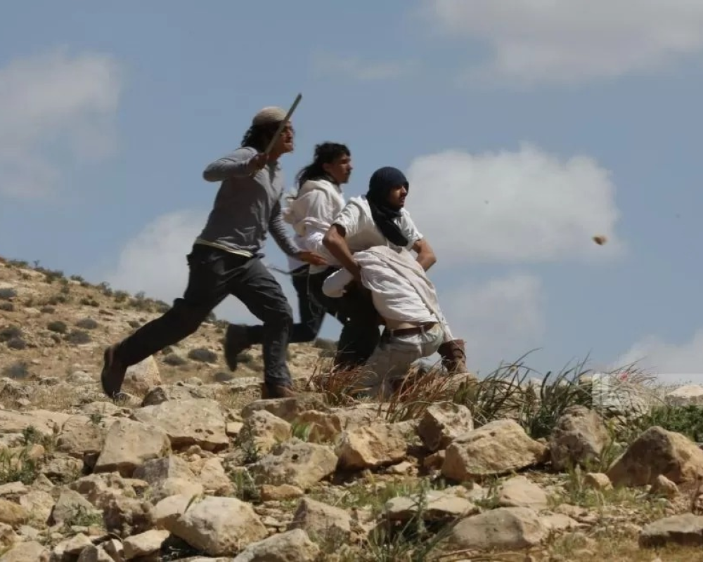 مستوطنون يهاجمون رعاة الأغنام شرق القدس وآخرون يهاجمون مركبة شرق قلقيلية