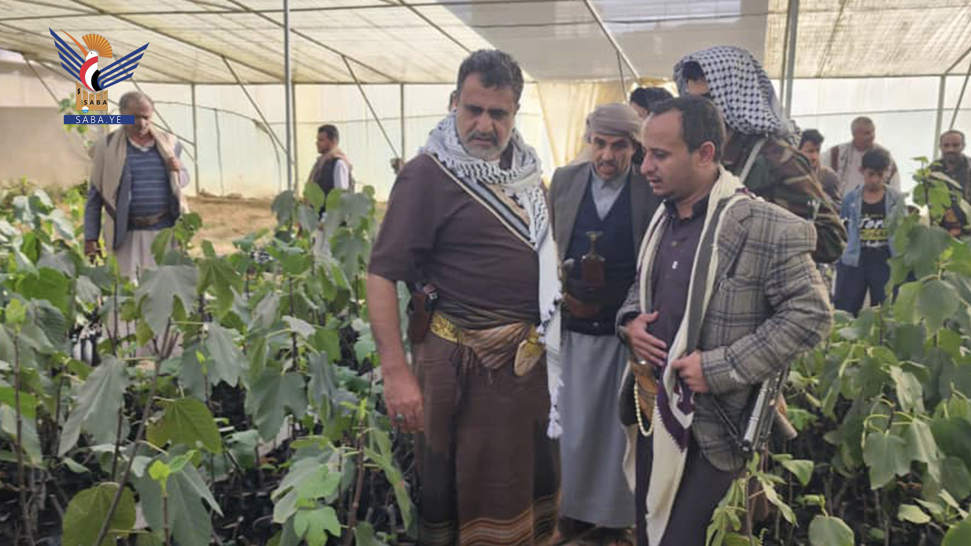 محافظ البيضاء يطلع على نشاط المشتل الزراعي المركزي