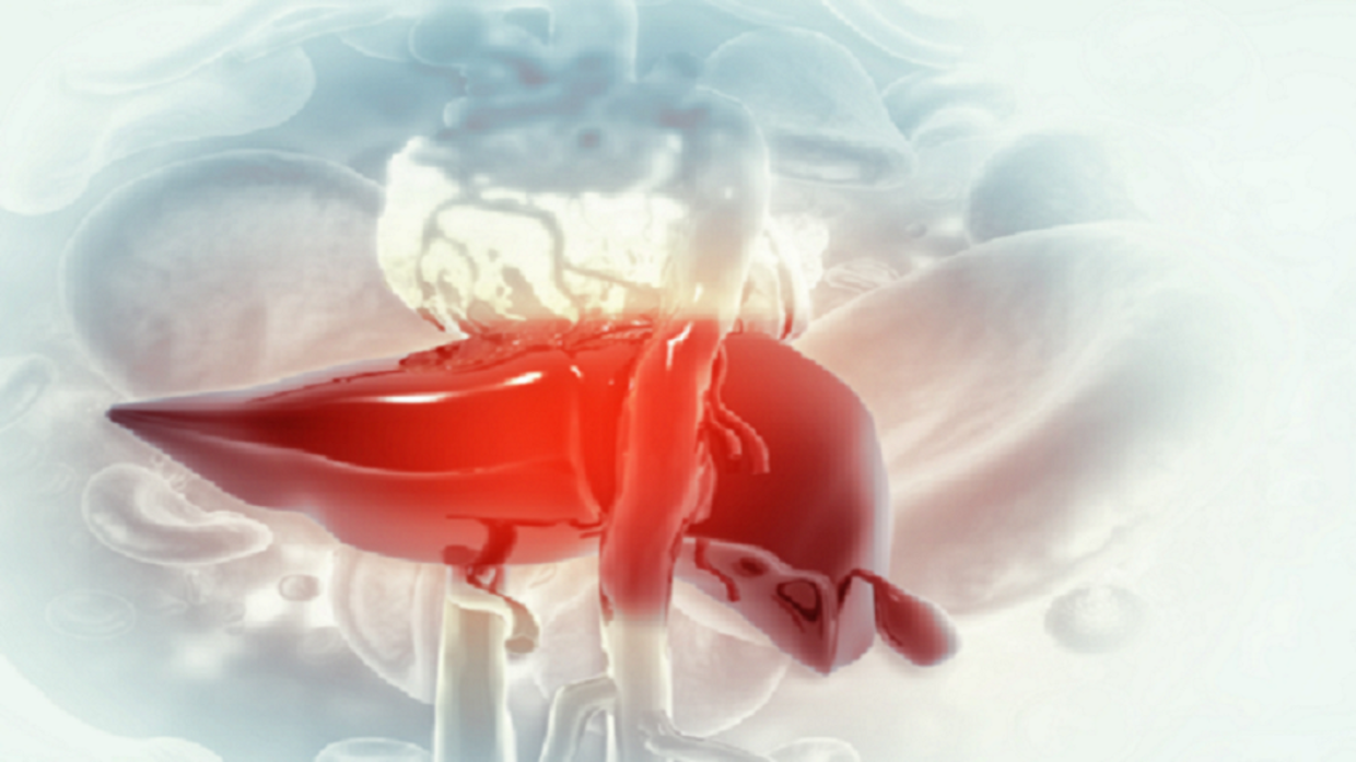 أفضل المنتجات لاستعادة صحة الكبد أفضل المنتجات لاستعادة صحة الكبد