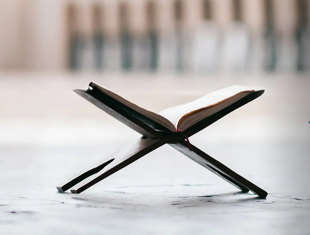 فلسفة الكثرة والقلة في القرآن الكريم