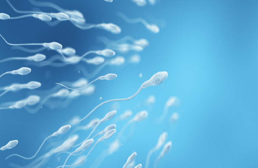 دراسة تحذر من مادة غذائية شائعة قد تضعف خصوبة الرجال دراسة تحذر من مادة غذائية شائعة قد تضعف خصوبة الرجال