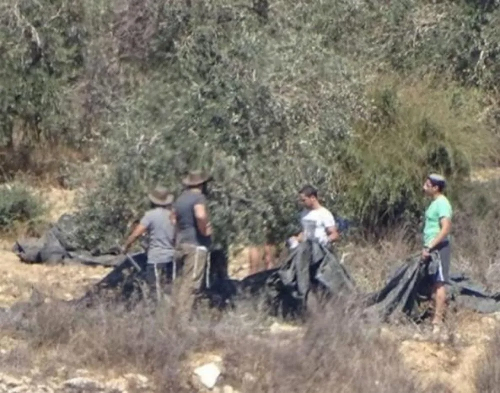 مستوطنون يصعدون من اعتداءاتهم على الفلسطينيين وممتلكاتهم في الضفة والقدس