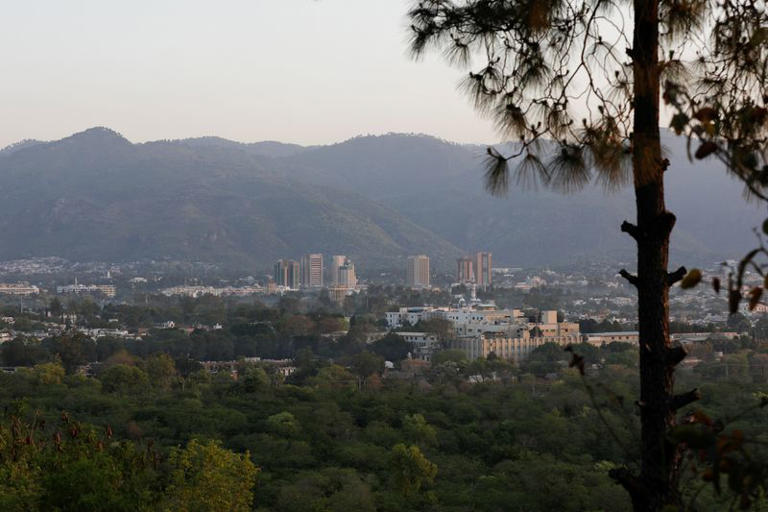 فيتش تبقي تصنيف باكستان عند "B-" مشيرة إلى تحسن الاحتياطيات