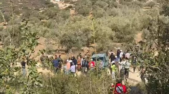 "أوتشا”: 126 هجومًا للمستوطنين منذ بدء موسم قطف الزيتون في الضفة الغربية
