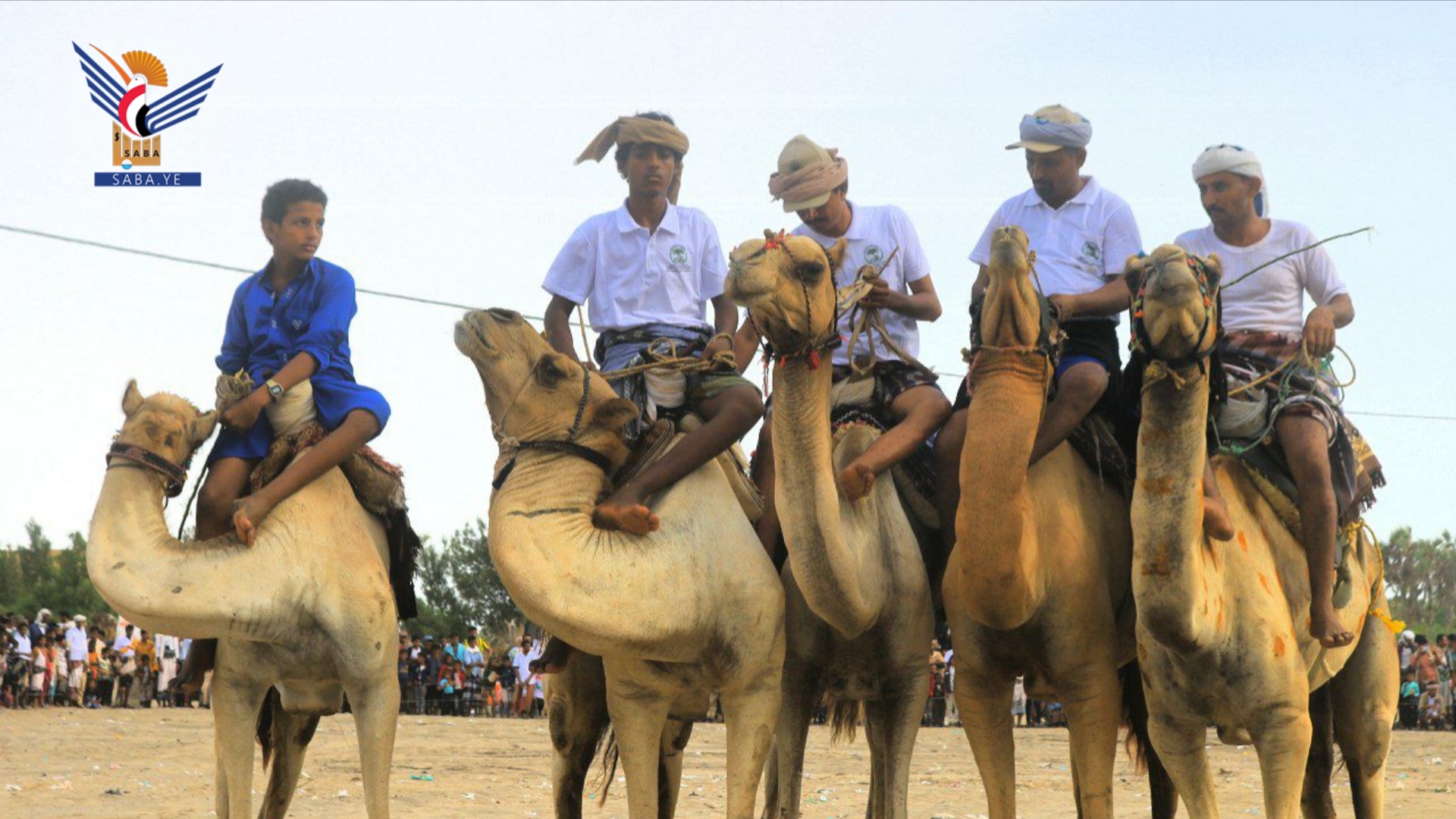 مهرجان كرنفالي في النخيلة بالدريهمي احتفاءً بموسم جني التمور بمحافظة الحديدة