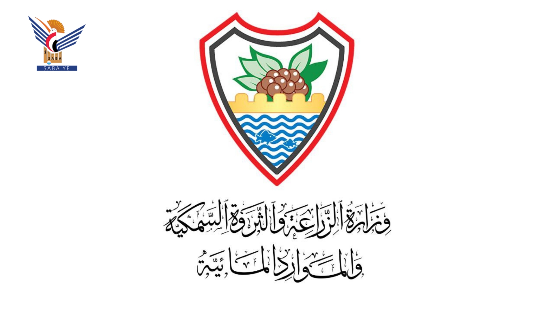 وزارة الزراعة تؤكد استمرار منع استيراد الدجاج المجمد وتشيد بجهود دعم المنتج المحلي 