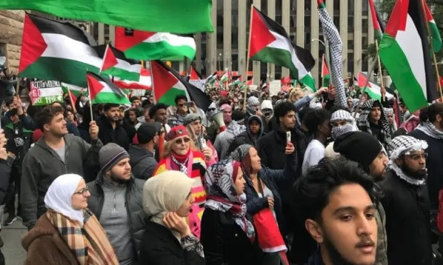   200 دبلوماسي كندي يطالبون بفرض عقوبات على "إسرائيل" ومراجعة الاتفاقيات التجارية